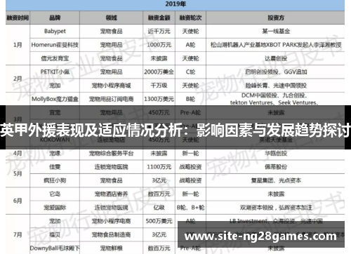 英甲外援表现及适应情况分析：影响因素与发展趋势探讨