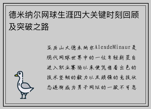 德米纳尔网球生涯四大关键时刻回顾及突破之路