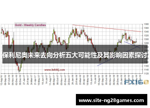 保利尼奥未来去向分析五大可能性及其影响因素探讨