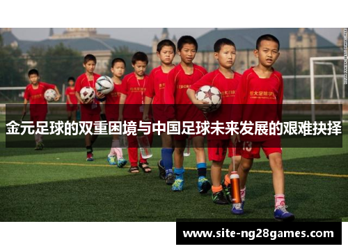 金元足球的双重困境与中国足球未来发展的艰难抉择