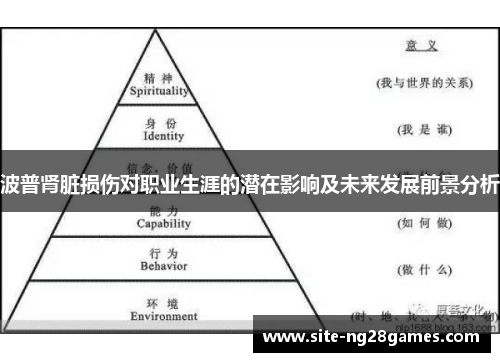 波普肾脏损伤对职业生涯的潜在影响及未来发展前景分析