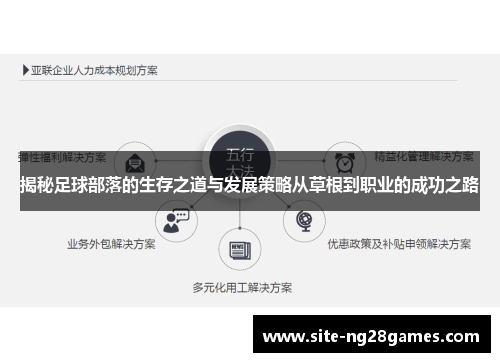 揭秘足球部落的生存之道与发展策略从草根到职业的成功之路