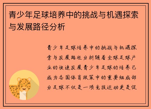 青少年足球培养中的挑战与机遇探索与发展路径分析