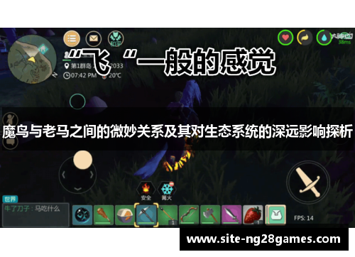 魔鸟与老马之间的微妙关系及其对生态系统的深远影响探析